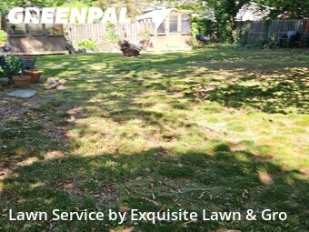 Lawn Mow nearby Alexandria, DC, 