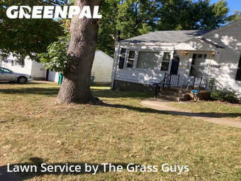 Lawn Care Service nearby St. Louis, IL, 