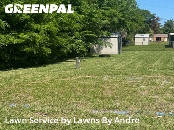 Grass Cutting nearby Daytona Beach, FL, 
