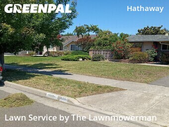 Residential Landscaping In San Jose,95130,Landscape Design by The Lawnmowerman , work completed in Jun , 2026