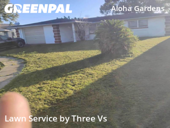 Weed Trimming in Holiday, 34691, Backyard Mowing by Three Vs , work completed in Nov , 2025