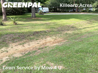 Lawn Cut nearby Tallahassee, FL, 