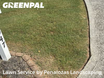 Lawn Cut nearby Suwanee, GA, 