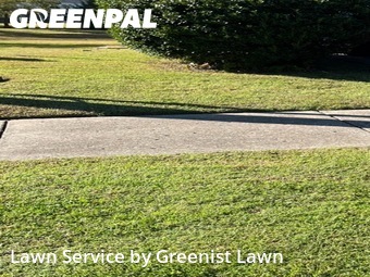 Yard Cutting nearby Thompson's Station, TN, 