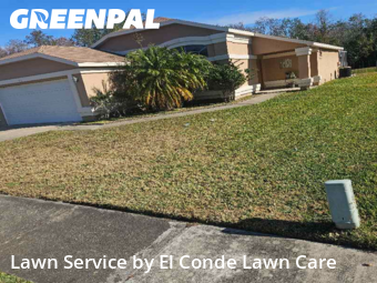 Landscaping Companies In Orlando,32824,Landscaping by El Conde Lawn Care, work completed in Jan , 2026