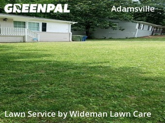 Grass Cutting nearby Atlanta, GA, 