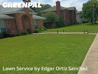 Lawn mowed in Sachse, 75048