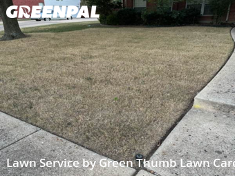 Backyard Mowing in Murphy, 75094, Yard Maintenance by Green Thumb Lawn Care, work completed in Nov , 2025