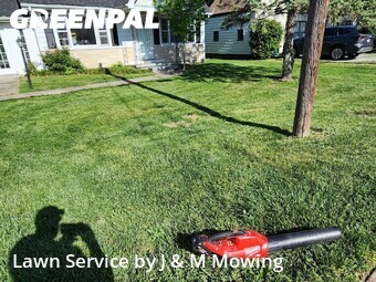 Lawn Cut nearby New Albany, IN, 