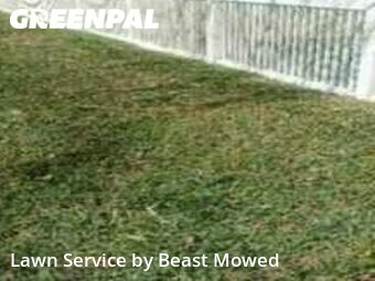 Lawn Care nearby Tampa, FL, 