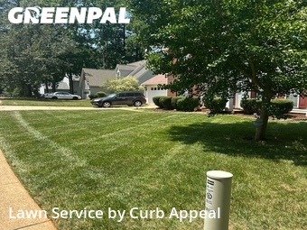 Lawn Mowing nearby Huntersville, NC, 