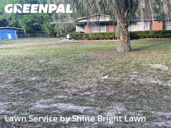 Grass Cut nearby Jacksonville, FL, 