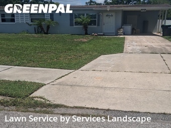Grass Cut nearby Orlando, FL, 