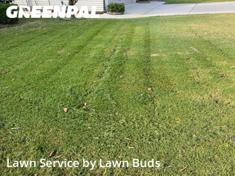 Grass Cut nearby Charlotte, NC, 