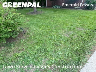 Grass Cutin Joliet,60435,Lawn Service by Vic’s Construction , work completed in Jun , 2026