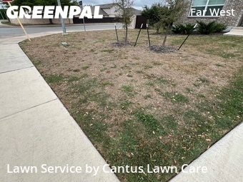 Grass Cutting nearby San Antonio, TX, 
