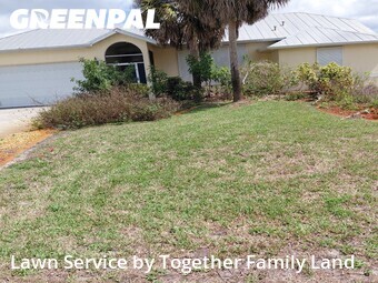 Grass Cut nearby Port Charlotte, FL, 