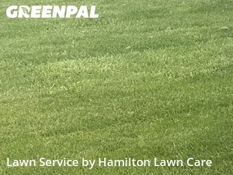 Grass Cut nearby Westfield, IN, 