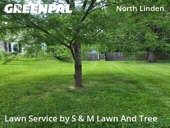 Lawn mowed in Columbus, 43224