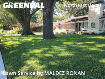 Lawn Maintenancein Dallas,75231,Yard Cutting by MALDEZ RONAN, work completed in Nov , 2025