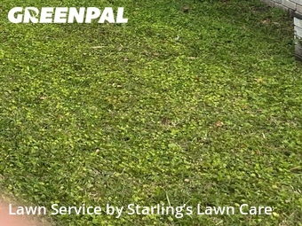 Lawn Mow nearby Orange Park, FL, 