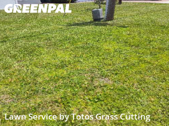 Lawn Cuttingin Ocoee,34761,Lawn Mowing Service by Totos Grass Cutting, work completed in Nov , 2025