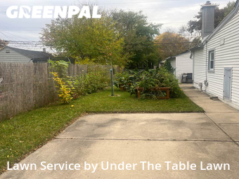 Grass Cut nearby Hazel Park, MI, 