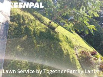 Yard Care in North Port, 34291, Yard Management by Together Family Land, work completed in Oct , 2025