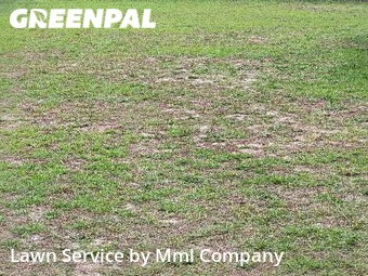 Lawn Maintenance nearby Fayetteville, NC, 