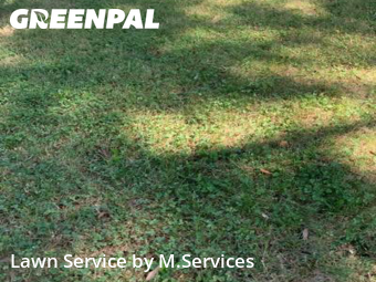 Lawn Care Service nearby Greensboro, NC, 