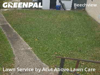 Weed Trimming in Pittsburgh, 15216, Yard Management by Acut Above Lawn Care, work completed in Nov , 2025