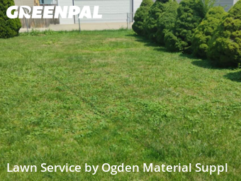 Yard Cutting nearby Des Plaines, IL, 