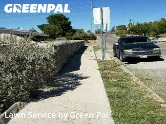 Lawn Cut nearby El Paso, TX, 