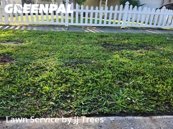 Lawn Cutting nearby Clearwater, FL, 