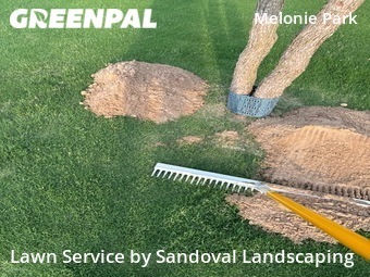 Lawn Care Service nearby Lubbock, TX, 
