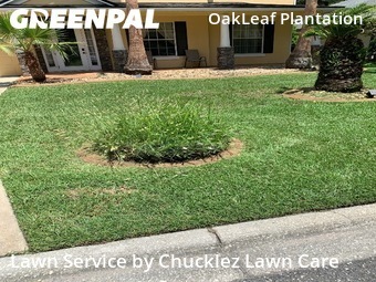 Yard Cutting nearby Orange Park, FL, 