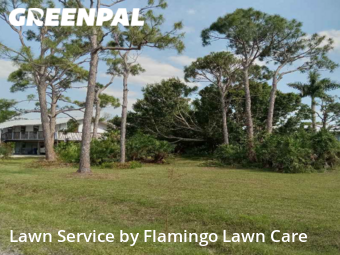 Lawn Mowing Service nearby Bokeelia, FL, 