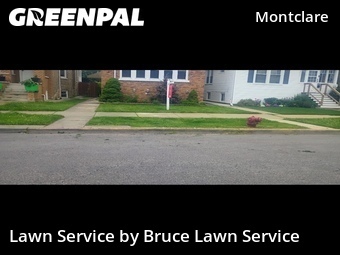 Yard Mowing nearby Chicago, IL, 