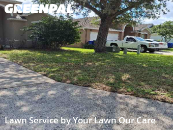Lawn Cut nearby Lakeland, FL, 
