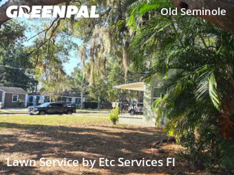 Lawn Mowingin Tampa,33604,Lawn Service by Etc Services Fl, work completed in Dec , 2025