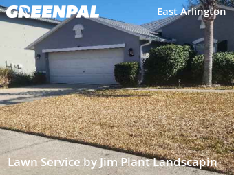 Grass Cut nearby Jacksonville, FL, 