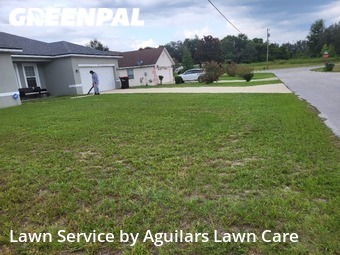 Lawn Cut nearby Ocala, FL, 