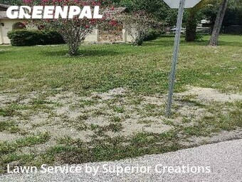 Lawn Service nearby Spring Hill, FL, 