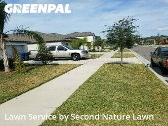 Grass Cut nearby Sun City Center, FL, 