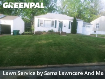 Lawn Mowing Service nearby Bellefontaine Neighbors, IL, 