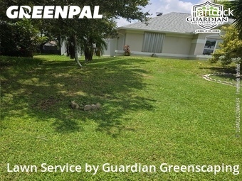 Grass Cut nearby Cape Coral, FL, 