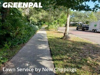 Lawn Mow nearby Clearwater, FL, 