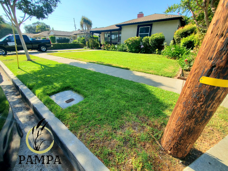 Lawn Care Service in Anaheim, CA, 92804