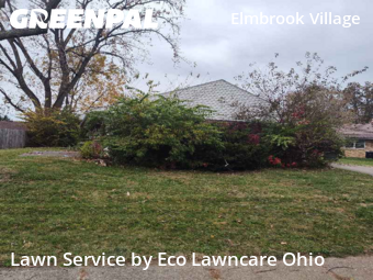Yard Work in Reynoldsburg, 43068, Turf Services by Eco Lawncare Ohio, work completed in Nov , 2025