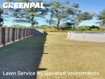 Lawn Upkeep in Valdosta, 31601, Yard Services by Elevated Investments, work completed in Nov , 2025
